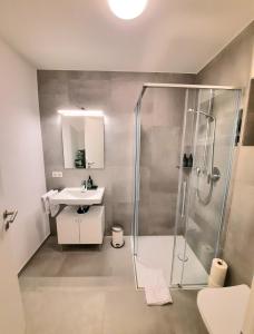 a bathroom with a shower and a sink at Bude 23 - Ferienwohnung Aalen in Aalen