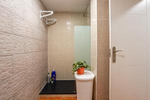 ein Bad mit einer Dusche und einem WC mit einer Pflanze in der Unterkunft Orange loft en el corazon de Girona in Girona