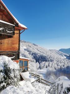 eine schneebedeckte Hütte mit Bergblick in der Unterkunft Hiška sprostitve in Vransko