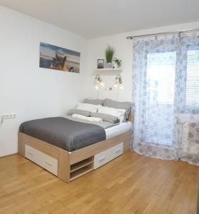 N14 Nap Apartment 1082 Budapest, 14 Nap utca kép - 2