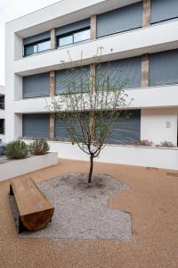 Billede fra billedgalleriet på Compromisso 25 i Faro