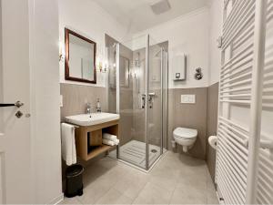 a bathroom with a shower and a sink and a toilet at Zauberhaftes Apartment in historischer Burg in Schlitz in Schlitz