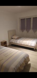 1 dormitorio con 2 camas en una habitación en APPARTEMENT ARENA/ GROUPAMA STADIUM/ EUREXPO, en Décines-Charpieu
