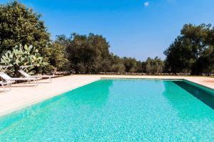 einen Pool mit blauem Wasser, Stühlen und Bäumen in der Unterkunft Masseria Terramare in Macchia di Monte