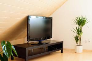 a television on a black stand in a room with two plants at Ferienwohnung-Herbolzheim in Herbolzheim