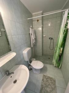 y baño con lavabo, aseo y ducha. en Pensiunea Olt Centrum Olt Centrum Panzio, en Băile Tuşnad