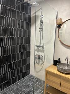 a bathroom with a shower and a sink at Splendide Appart’ près de Disney in Montévrain