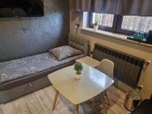 ein kleines Zimmer mit einem Sofa und einem Tisch in der Unterkunft Przystań in Rozalin