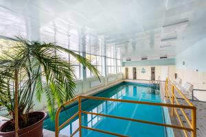 a pool in a building with a plant at Juri5 in Baiersbronn mit Pool in Baiersbronn