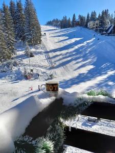 a snow covered ski slope with a cup of coffee at Apartman Royal Vlašić in Vlasic