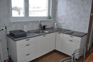 Kuchyň nebo kuchyňský kout v ubytování Erra Puiestee Apartment