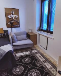 ein Wohnzimmer mit einem Sofa und einem Fenster in der Unterkunft Studio Porin Karhu, home away home in Pori city center, free parking in Pori