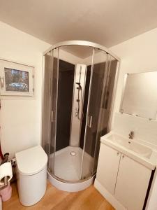 a bathroom with a shower and a toilet and a sink at Domaine La Tour in Loubens
