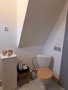 a bathroom with a white toilet in a attic at Cozy Town Center Retreat in Komárno