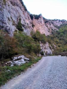 Príroda v okolí apartmánu