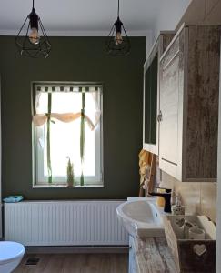 La salle de bains est pourvue d'un lavabo et d'une fenêtre. dans l'établissement Casa Lucia, à Dămuc