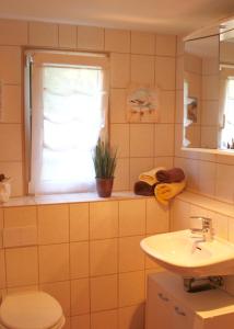 a bathroom with a toilet and a sink and a window at Annis- Romantikhäuschen in Königstein an der Elbe