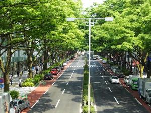 ulica z samochodami zaparkowanymi na poboczu drogi w obiekcie Hotel Allamanda Aoyama Tokyo w Tokio