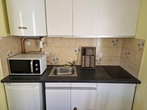 una pequeña cocina con fregadero y microondas en Appartement Amélie les Bains au pied des THERMES, en Amélie-les-Bains-Palalda