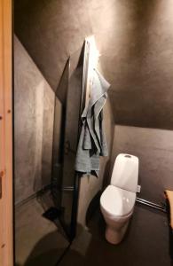 mała łazienka z toaletą i prysznicem w obiekcie Cozy Cabin Styled Loft w mieście Kiruna
