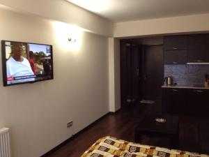 TV a/nebo společenská místnost v ubytování New Gudauri Apartment