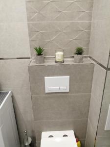 a bathroom with a toilet and two plants on a shelf at Apartamenty u Nataszy in Ustrzyki Dolne