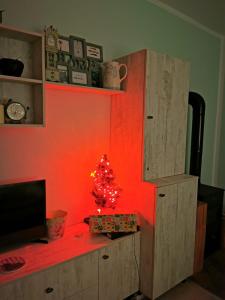 a small christmas tree on a desk in a room at Casa Lucia in Dămuc