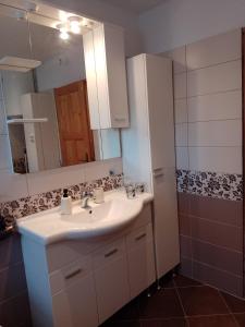 a bathroom with a sink and a mirror and a shower at Apartman Centar Fužine in Fužine