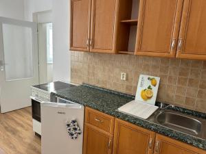 a kitchen with wooden cabinets and a counter top at Penzion Sokolov 1 in Sokolov