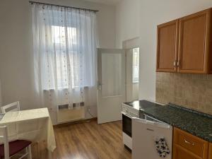 a kitchen with a table and a counter top at Penzion Sokolov 1 in Sokolov +17 photos