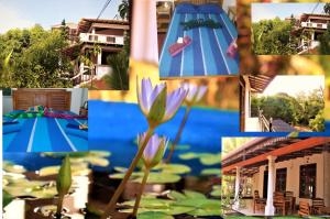 un collage de fotos con una flor y un estanque en The Green Heritance - Habarana en Habarana