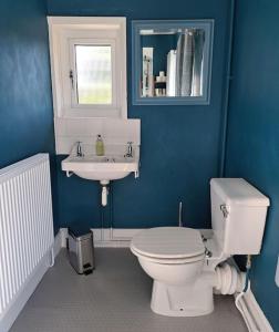 a blue bathroom with a toilet and a sink at The Flat at Conway House in Overstrand