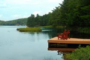 
a wooden bench sitting on top of a body of water at Trillium Resort & Spa in Port Sydney
