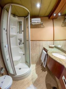 M/S Nephtis Nile Cruise في الأقصر: حمام مع دش ومرحاض ومغسلة