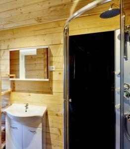 a bathroom with a sink and a shower at Blockhütte Bergzauber in Ried im Oberinntal