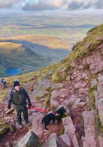 a man walking two dogs on a mountain at James' Place @ Pontmorlais in Merthyr Tydfil