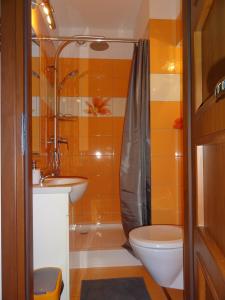 a bathroom with a shower and a toilet and a sink at Studio Gdańsk in Gdańsk