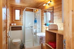 een badkamer met een douche en een toilet bij Blockhütte Aifnerblick in Ried im Oberinntal