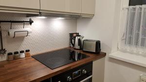 Kuchyňa alebo kuchynka v ubytovaní Apartmán Pálenica II