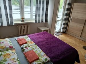 een slaapkamer met een bed met paarse lakens en ramen bij Kotlarska Apartment in Wrocław