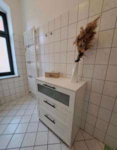 une armoire blanche avec un vase au-dessus de celle-ci dans la salle de bains. dans l'établissement Stilvolle Ferienwohnung Dresden, à Dresde