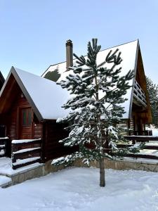 un arbre enneigé devant une cabine dans l'établissement Cozy House Blidinje, à Blidinje
