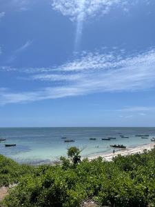 une plage avec un tas de bateaux dans l'eau dans l'établissement Petwac Oasis, à Malindi
