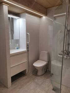 A bathroom at Rovaniemi - quality detached house with sauna nearby services