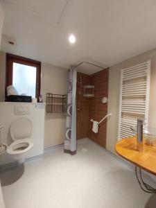W łazience znajduje się toaleta, prysznic i umywalka. w obiekcie Chalets à 10 minutes de Foix w mieście Mercus-Garrabet