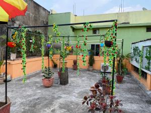 un patio con un montón de plantas y flores en Morla’s villa, en Jagdalpur