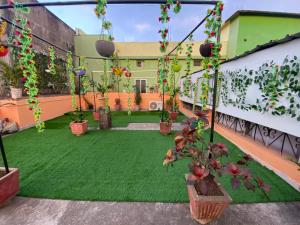 d'un jardin avec des plantes et des fleurs sur un balcon dans l'établissement Morla’s villa, à Jagdalpur