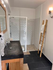 a bathroom with a shower and a black counter top at Logis Hôtel Le Manoir Des Portes in Lamballe