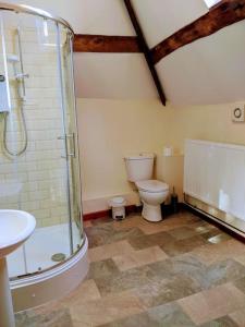y baño con ducha, aseo y lavamanos. en The Old Granary Farm Cottage en Abergavenny