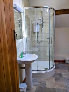 a bathroom with a shower and a sink at The Old Granary Farm Cottage in Abergavenny